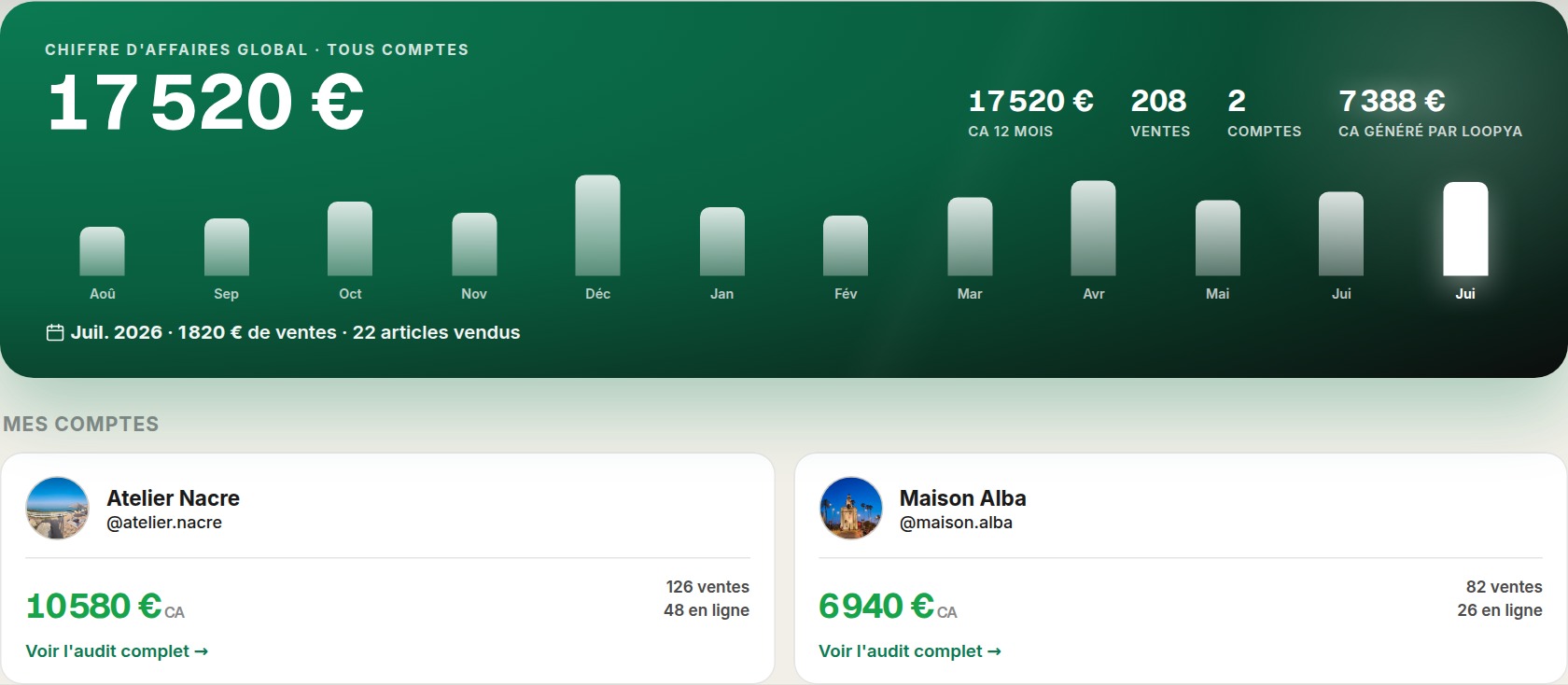 Deux comptes de vente anonymisés avec chiffre d'affaires, ventes et bénéfice attribué à Loopya