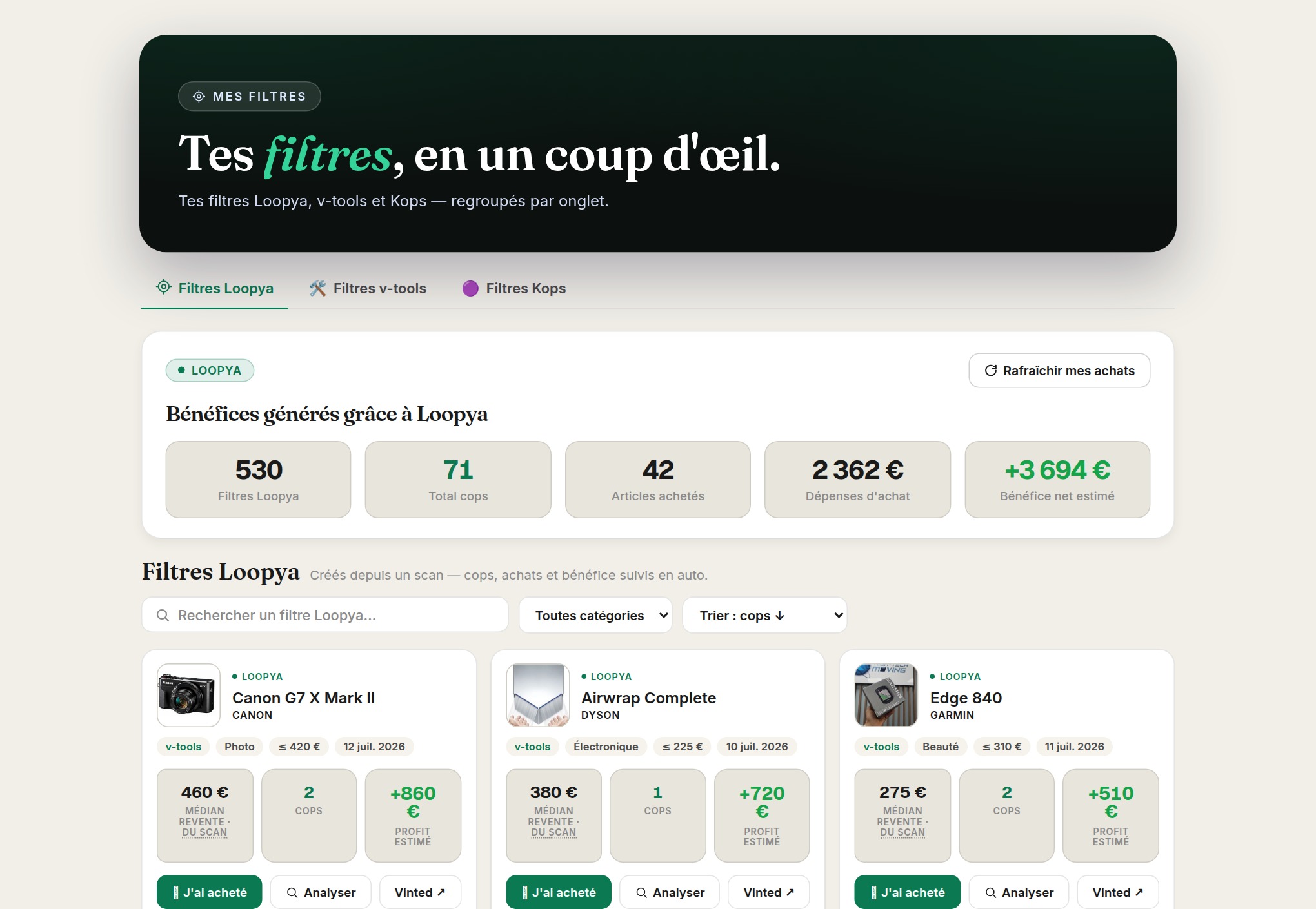 Page des filtres Loopya, v-tools et Kops avec scénario anonymisé