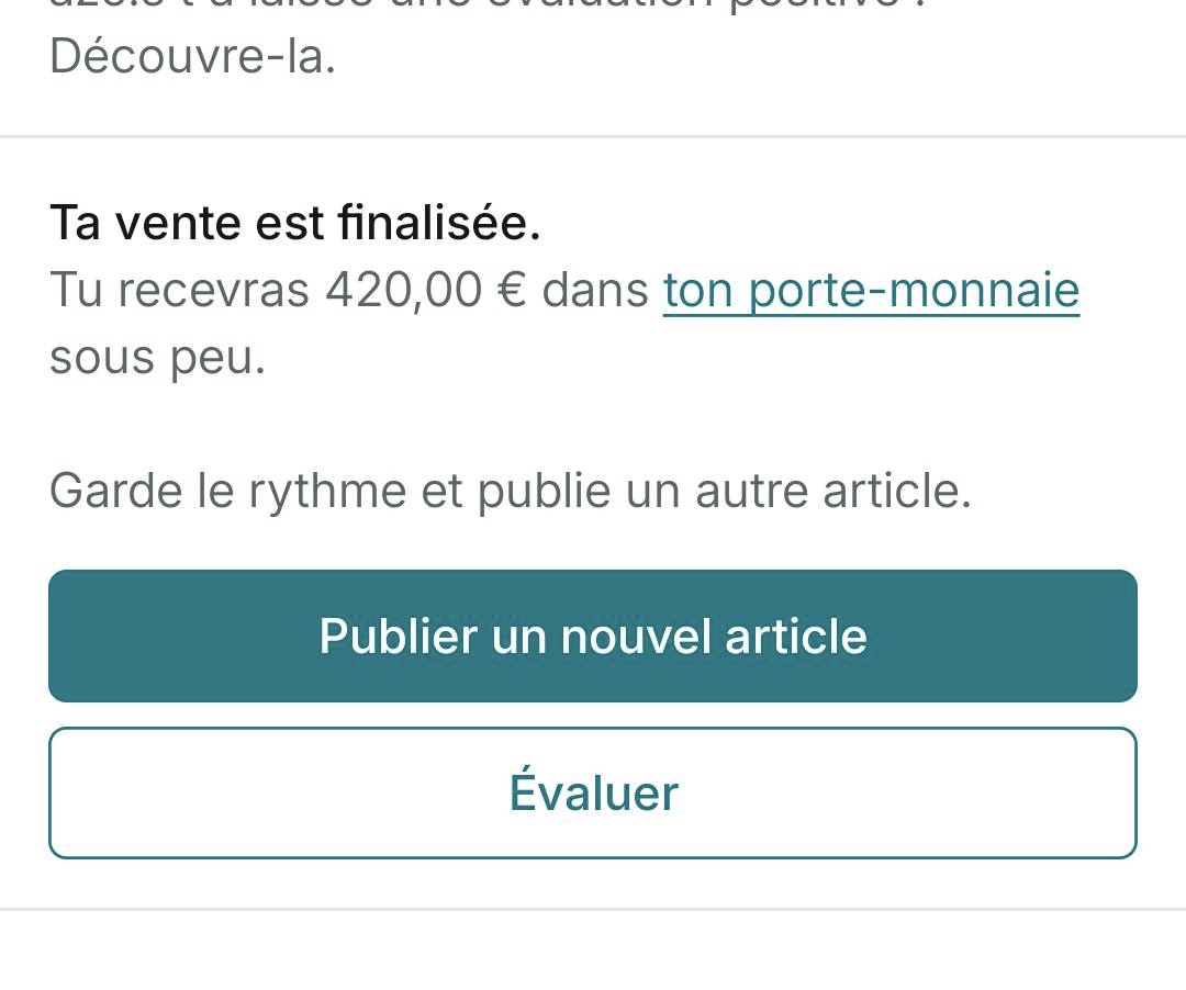 Vente finalisée à 420 € sur Vinted